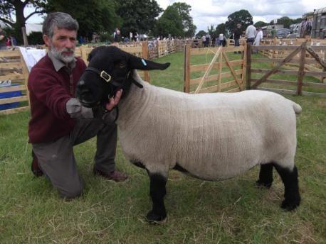 Lester Peel Lester Peel