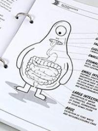 Nutition for beginners course page