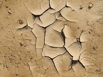 Backed Earth Eczema Skin