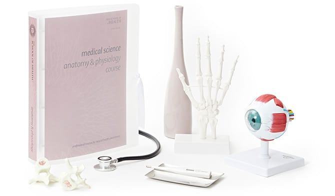 Anatomy & Physiology Online Course Anatomy & Physiology Online Course