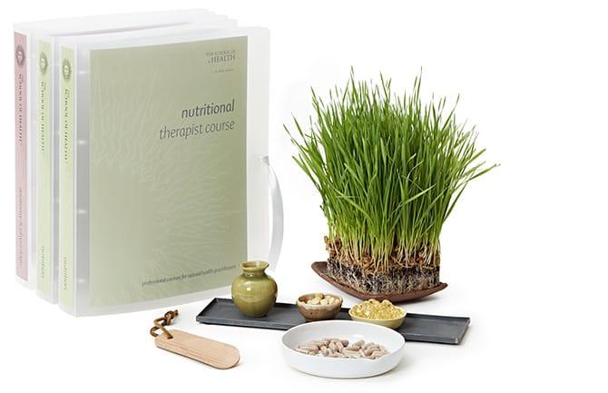 Nutritional Therapist Online Course 