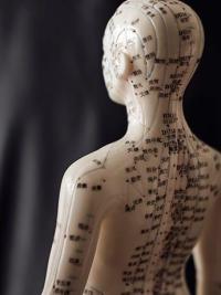 Chinese Meridians body