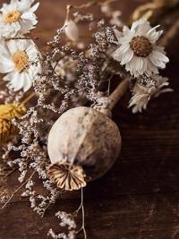 Naturopathy dried flowers