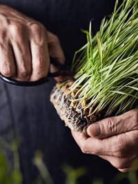 Nutritional Therapist cutting grasses