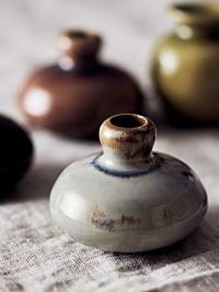 Nutritional Therapist small pots