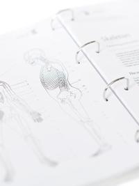 Anatomy & Physiology course pages