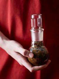 Homeopathy Herbs in glass jar
