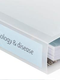 Pathology & Disease course folder