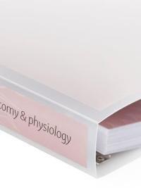A&P course folder Spine