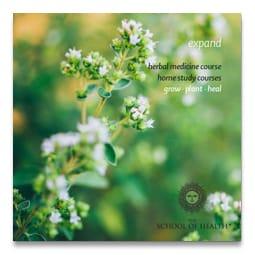 Herbs Prospectus Herbs Prospectus