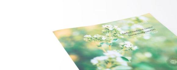 Herbal Medicine Prospectus