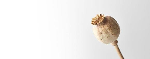 Becoming a yoga teacher