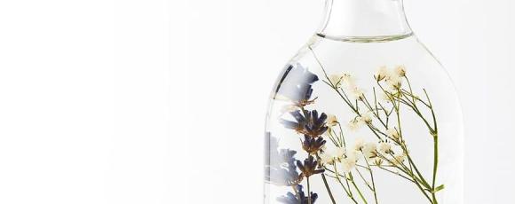 Natural health tincture