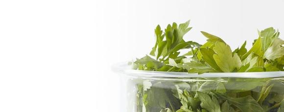 Becoming a herbalist