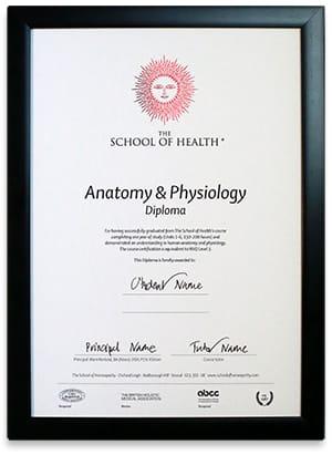 A&P Certificate A&P Certificate