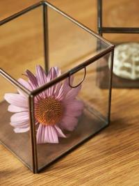 Specimen Boxes - Flower 1