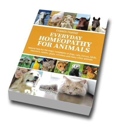 Everyday Homeopathy for Animals, Hunter Everyday Homeopathy for Animals, Hunter