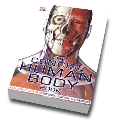 Concise Human Body Concise Human Body