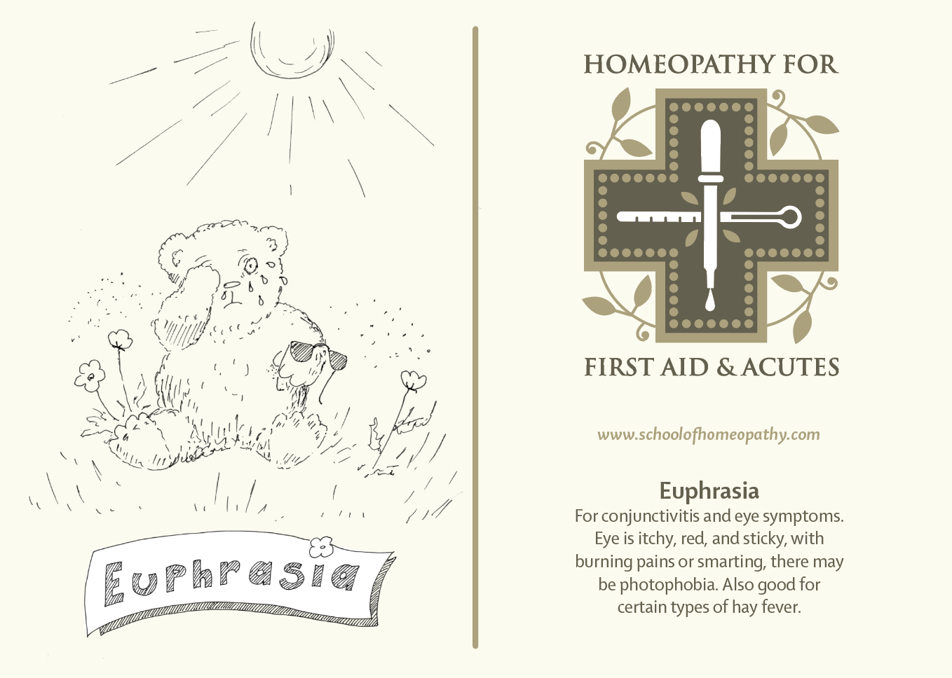 Eurphrasia Eurphrasia